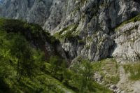 2014-08-02_06FritzPflaum-Steig (142).JPG